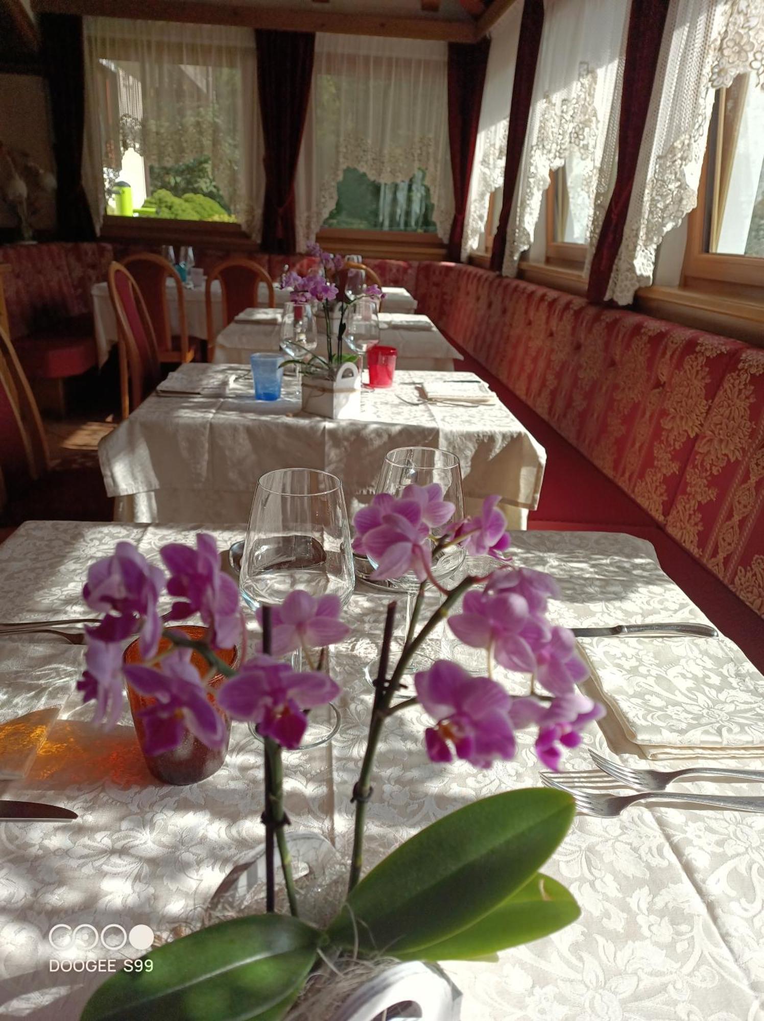 Park Hotel Arnica Falcade Buitenkant foto